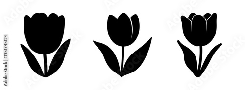 Three black tulip flower vector illustration, simple tulip drawing, floral design element, art print
