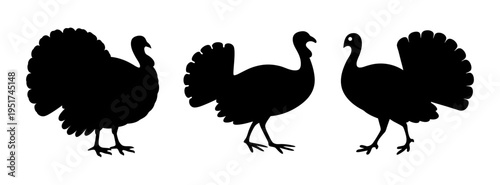 Turkey silhouette vector art for thanksgiving day autumn holiday celebration graphic design element
