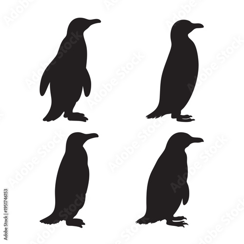 Silhouette of African penguin isolated on white background, vector illustration