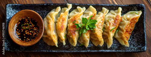 Pan Fried Dumplings with Sauce, Asian Food Cuisine