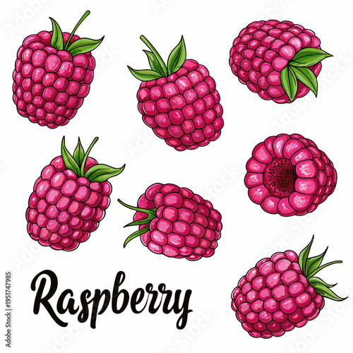 A colorful illustration depicts several ripe raspberries with green leaves