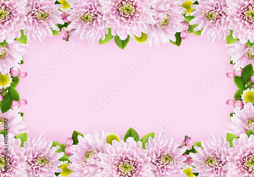 Pink chrysanthemum flowers an snowberries in a floral frame on pink background