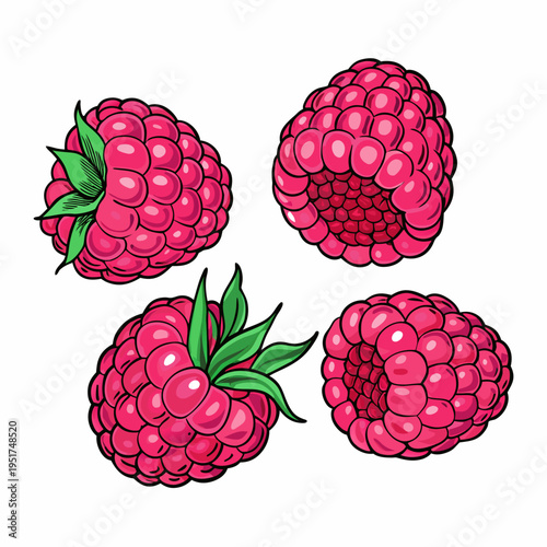 Four vibrant raspberries depicted in a detailed illustrative sketch style