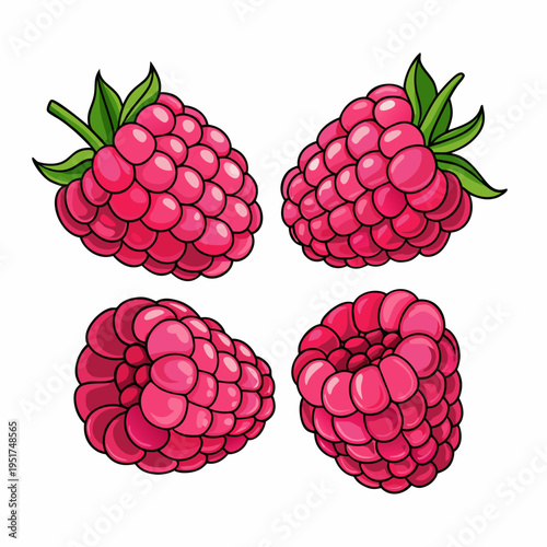 Four vibrant raspberries with green leaves a colorful fruit illustration