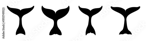 Mermaid tail vector silhouette illustration set for underwater sea life and ocean design element