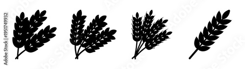 Black wheat stalks vector illustration for agriculture farming and organic food design needs and projects