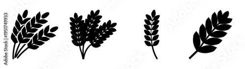 Black wheat stalks vector illustration for agriculture harvest and grain design element illustration