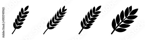 Black wheat vector illustration set for agriculture and harvest designs isolated on white background