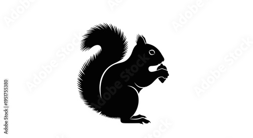 Black Silhouette of a Squirrel Eating a Nut on a White Background