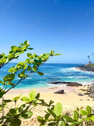 tropical beach in thailand
