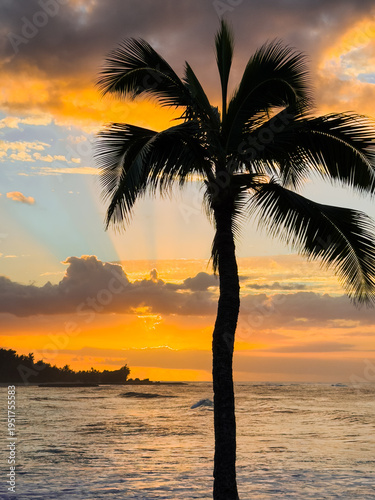 sunset on the beach