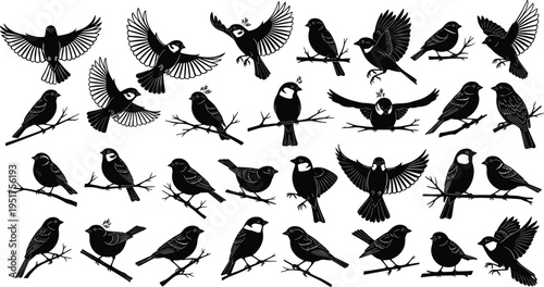 Birds silhouette collection flying perched songbirds sparrow wildlife nature animal black bird set isolated vector illustration bundle pack