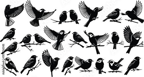 Flying birds silhouette collection sparrow songbird perched and flying bird set wildlife nature animal black vector illustration pack
