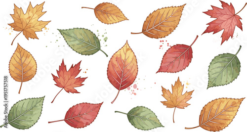 Autumn Fall Leaves Collection with Maple and Birch Foliage in Warm Seasonal Colors Isolated Decorative Nature Vector Illustration Set