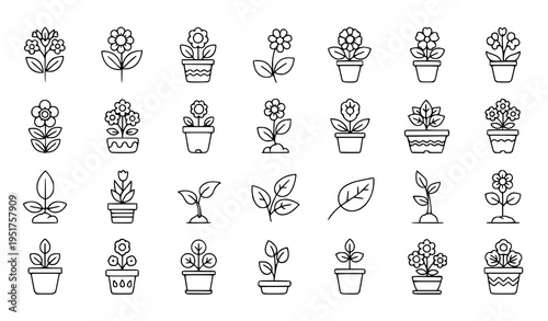 A set of minimalist line art illustrations of various potted plants and flowers in different pots and planters on a white background