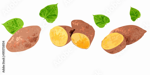 Sweet potatoes and their leaves arranged in a colorful illustrative composition