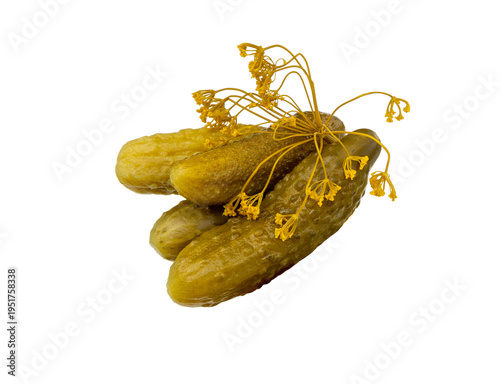 Cucumber pickles with dill, isolated. Canned pickles.