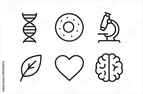 A collection of simple line icons representing biology science health and anatomical concepts