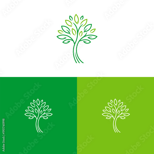 Elegant Tree Line Art Logo Design