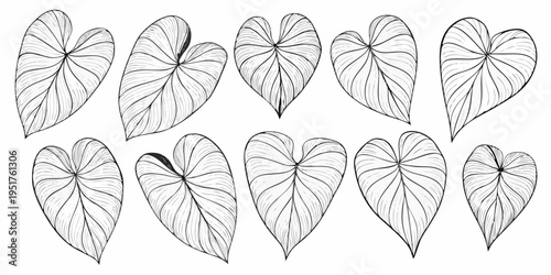 Elegant arrangement of heart shaped tropical leaves in a black and white sketch