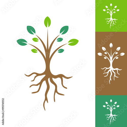 Tree with Roots and Green Leaves Vector Illustration