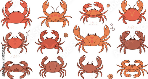 Hand drawn vector illustration set of red and orange crabs in various poses with bubbles and sand for marine life underwater nature designs.