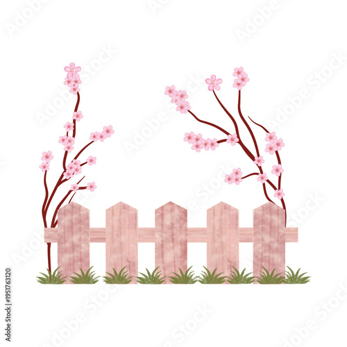 A charming pink picket fence with blooming cherry blossom trees and green grass on a white background, evoking a sense of springtime serenity and peacefulness.