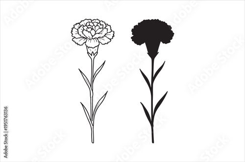 A contrasting depiction of a carnation flower shown in both light and dark silhouettes