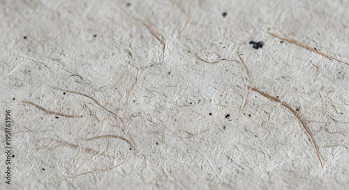 Wallpaper Mural wood texture background Torontodigital.ca