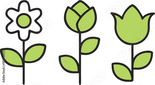 Green flower and plant nature botany symbol