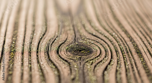 Wallpaper Mural close up of wooden texture Torontodigital.ca