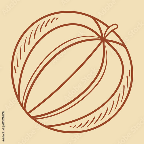 Brown melon with lines and shading fruit