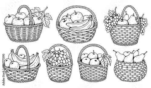 Wicker Fruit Basket Illustration Set Featuring Apples, Bananas, Grapes and Pears in Detailed Vintage Hand Drawn Engraving Vector Style