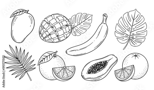 Tropical Fruits Hand Drawn Illustration Set Featuring Mango, Banana, Papaya, Citrus and Exotic Leaves in Detailed Minimal Outline Vector Style