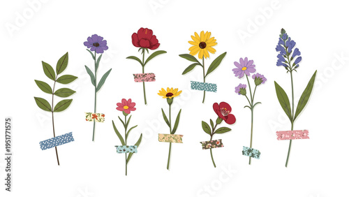 Collection of various colorful wild flowers and leaves is taped to a white surface with decorative washi tape strips in different patterns.