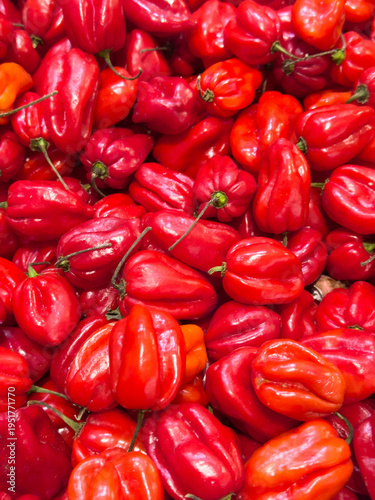 red and yellow peppers