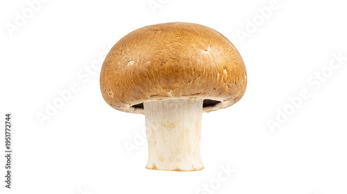 Fresh brown cremini mushroom, a single raw edible culinary ingredient, perfectly isolated for food photography and healthy eating concepts PNG