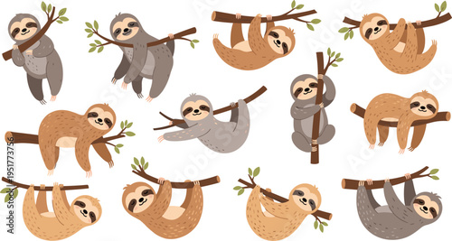 Cute hand drawn vector illustration set of lazy sloths hanging on tree branches in various funny poses for nursery and tropical nature designs.