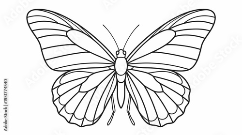 Elegant Butterfly Outline Illustration A Simple and Stylized Vector Design for Nature-Inspired Projects