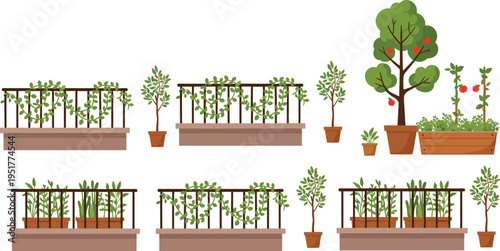 Urban Balcony Garden Set with Potted Plants, Climbing Vines, Vegetable Planters and Fruit Tree Home Gardening Vector Illustration