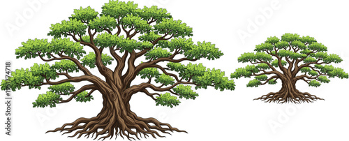Big green tree with detailed roots and branches nature illustration flat vector cad drawing realistic botanical design isolated