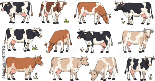 Cute hand drawn vector illustration set of dairy cows and cattle in various grazing and standing poses for nursery farm and agriculture nature designs.