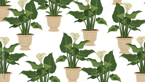 Peace lily houseplant pattern features elegant white flowers and green leaves in beige pots repeated over a clean white background.