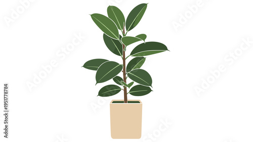 Illustration of a green leafy rubber plant in a simple beige pot isolated on a white background for interior decoration.