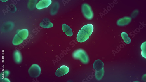 Enterococcus bacteria can cause bacteremia, endocarditis, sepsis, and complicated urinary tract infections, especially within nosocomial environments and in the context of antibiotic resistance
