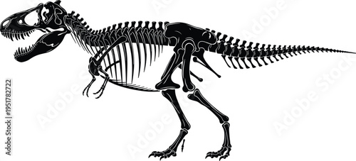 Dinosaur, skeleton, silhouette, Tyrannosaurus, Rex, bone, fossil, prehistoric, predator, ancient, animal, anatomy, cretaceous, extinct, reptile, museum, history, isolated, white, background,