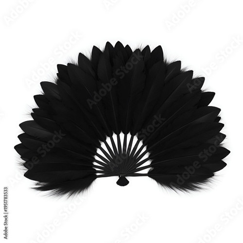 an open fan with black feathers on a white background.