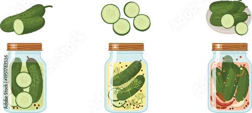 Pickled Cucumber Illustration Set with Fresh Slices, Whole Vegetables and Glass Jars, Homemade Fermented Food Collection for Kitchen and Organic Cooking Design