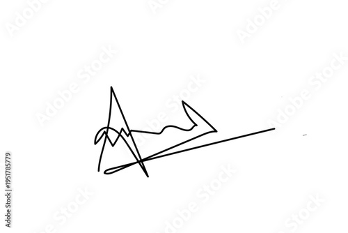 Abstract black ink signature or graffiti brush stroke on white background