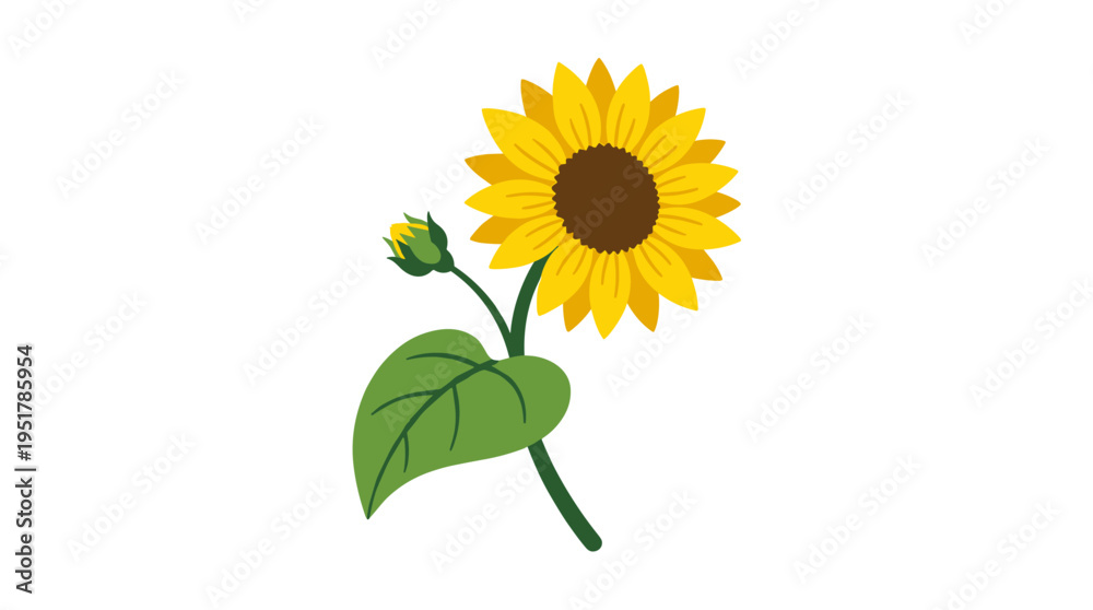 Fototapeta premium Sunflower, a farm-grown plant. A field crop of agricultural sunflowers featuring buds, yellow petals, a curved stem, and leaves. A natural summer flower. A flat botanical vector illustration set